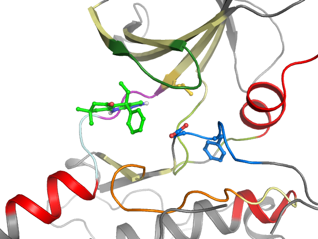 The orthosteric binding pocket