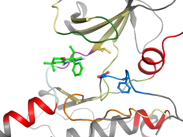 The orthosteric binding pocket