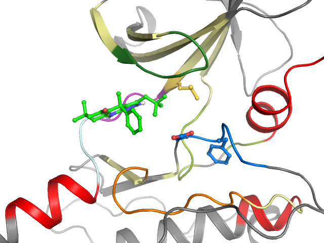 The orthosteric binding pocket