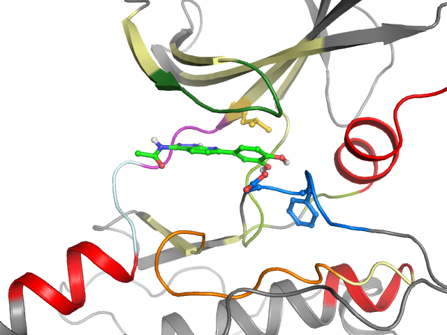 The orthosteric binding pocket