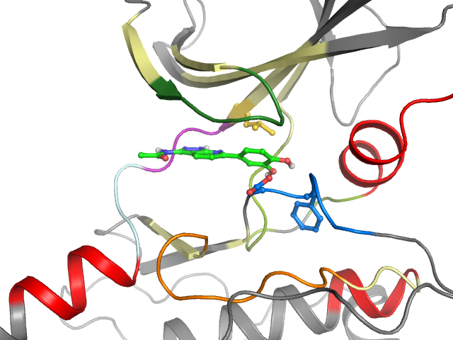 The orthosteric binding pocket