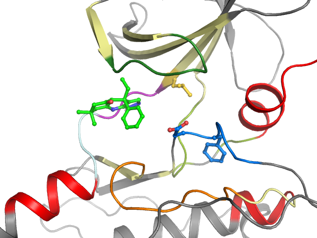 The orthosteric binding pocket