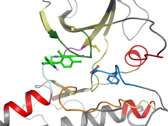 The orthosteric binding pocket