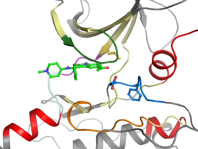 The orthosteric binding pocket