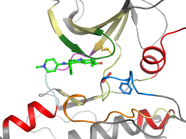 The orthosteric binding pocket
