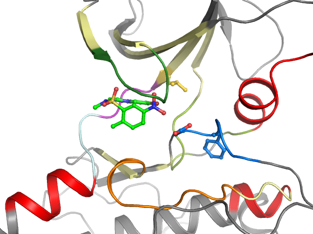 The orthosteric binding pocket