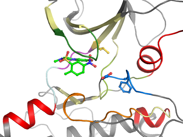 The orthosteric binding pocket