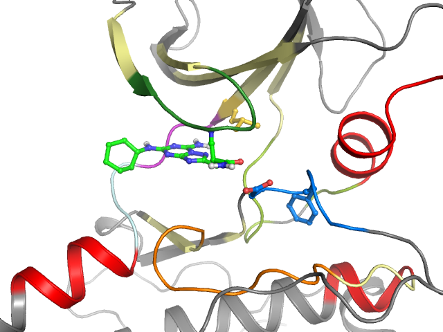 The orthosteric binding pocket
