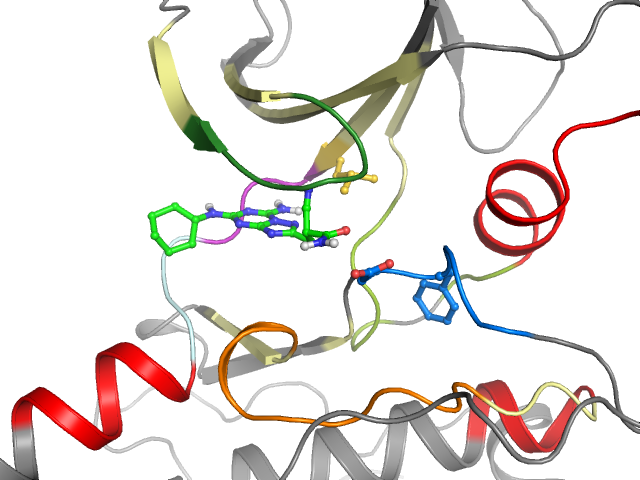 The orthosteric binding pocket