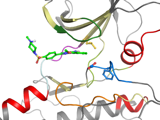 The orthosteric binding pocket