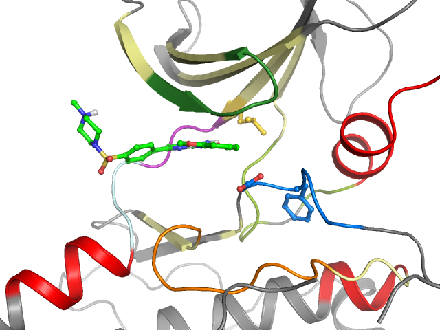 The orthosteric binding pocket