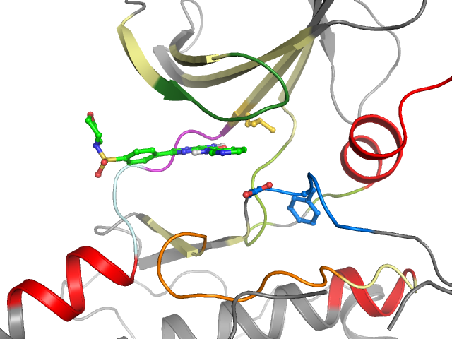 The orthosteric binding pocket