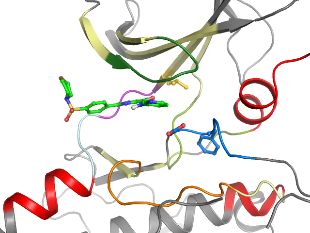 The orthosteric binding pocket