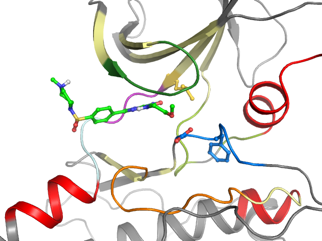 The orthosteric binding pocket