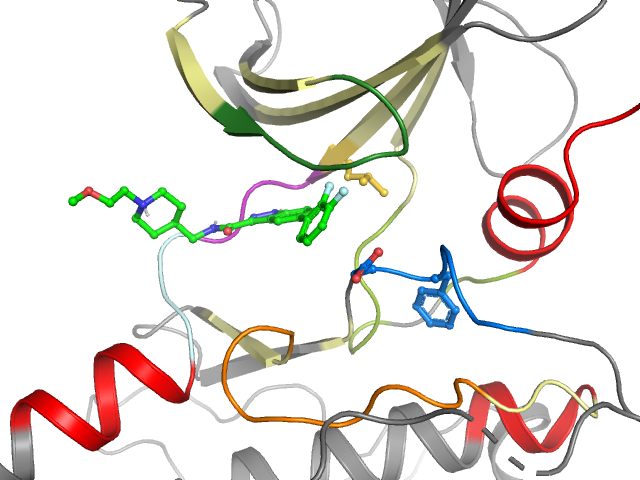 The orthosteric binding pocket
