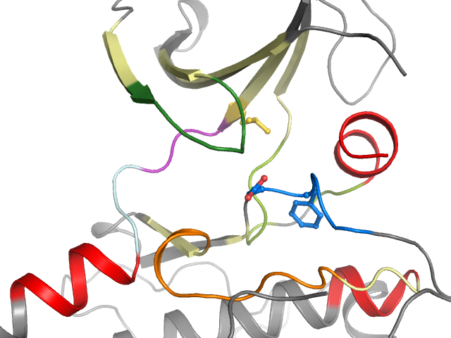 The orthosteric binding pocket