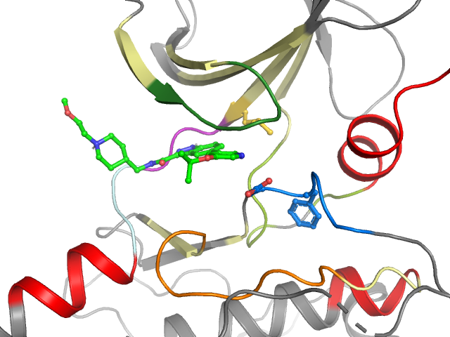 The orthosteric binding pocket