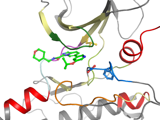 The orthosteric binding pocket