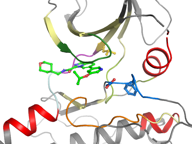 The orthosteric binding pocket