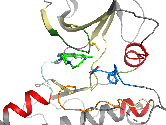The orthosteric binding pocket