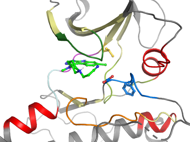 The orthosteric binding pocket