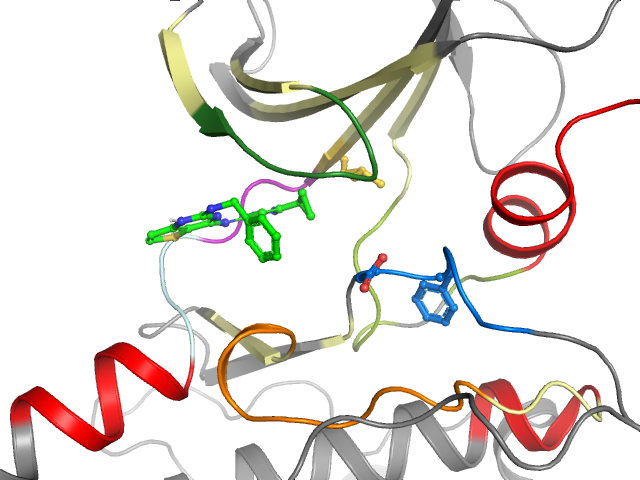 The orthosteric binding pocket