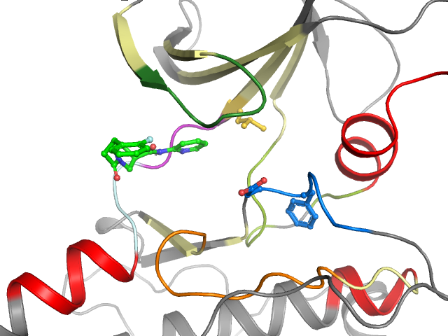 The orthosteric binding pocket