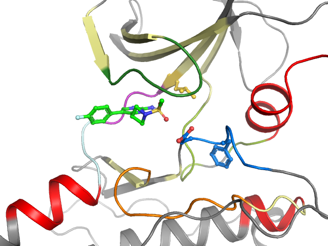 The orthosteric binding pocket