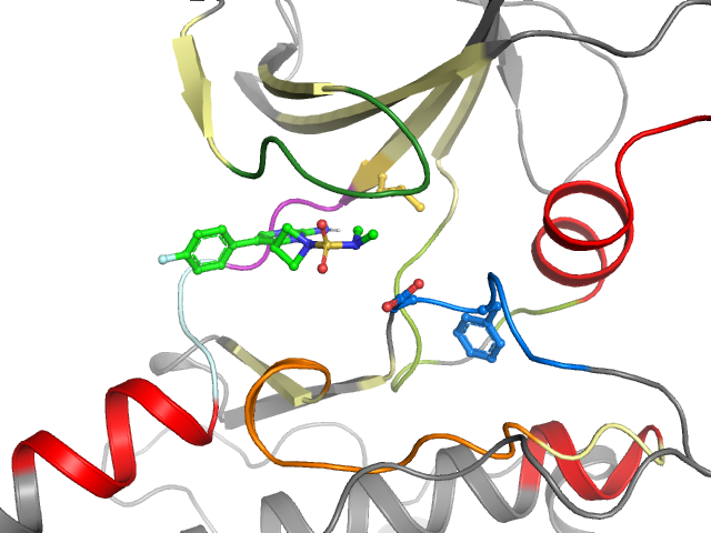 The orthosteric binding pocket