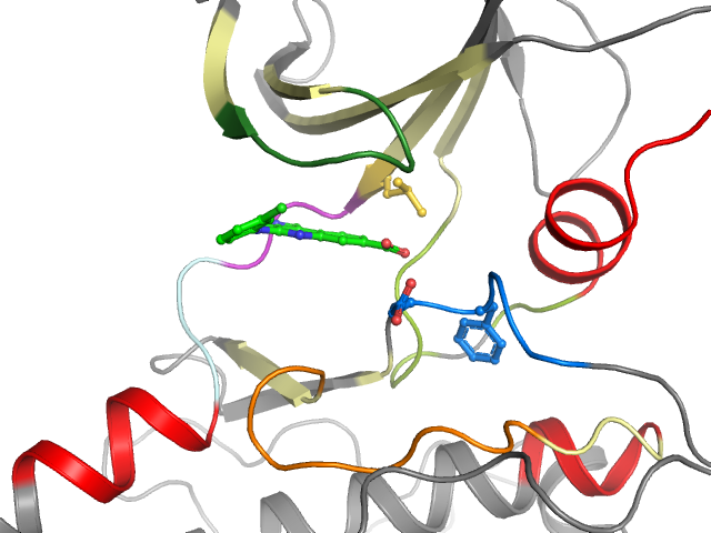 The orthosteric binding pocket