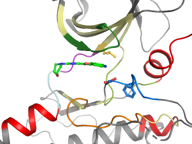 The orthosteric binding pocket