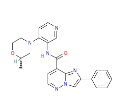 2D structure of the orthosteric ligand