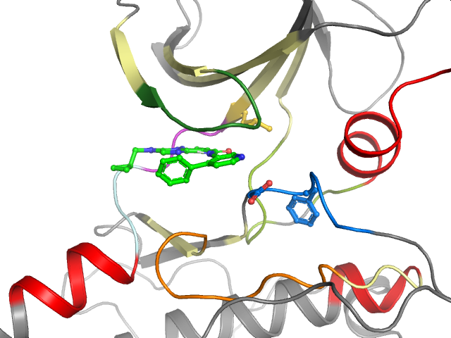 The orthosteric binding pocket