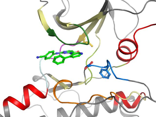 The orthosteric binding pocket