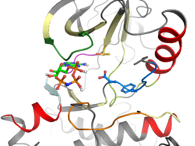 The orthosteric binding pocket