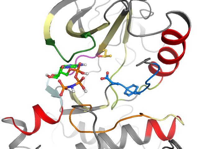 The orthosteric binding pocket