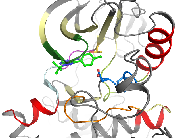 The orthosteric binding pocket