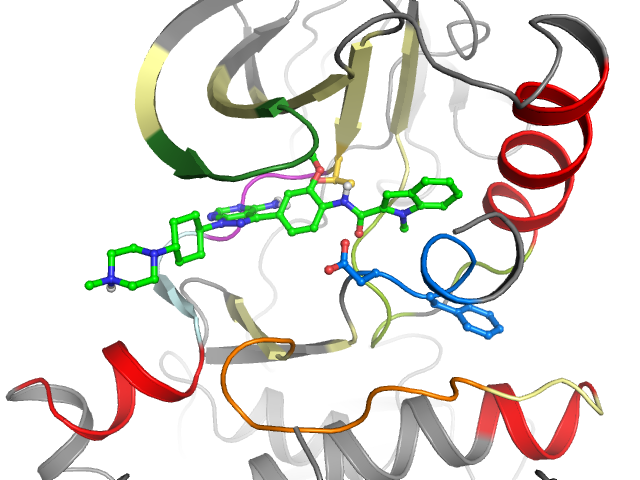 The orthosteric binding pocket