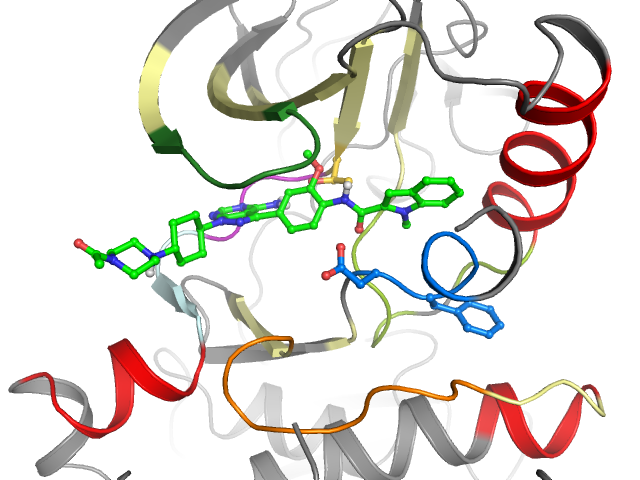 The orthosteric binding pocket