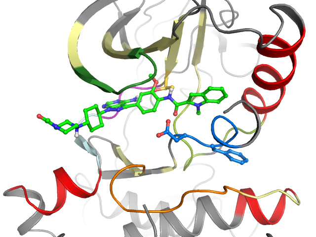 The orthosteric binding pocket