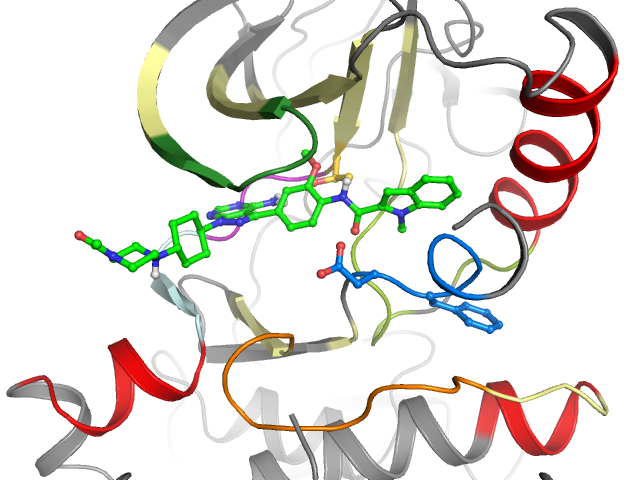 The orthosteric binding pocket