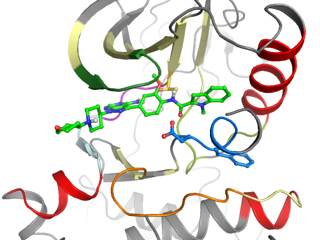 The orthosteric binding pocket