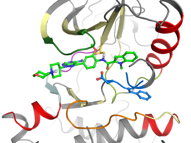 The orthosteric binding pocket