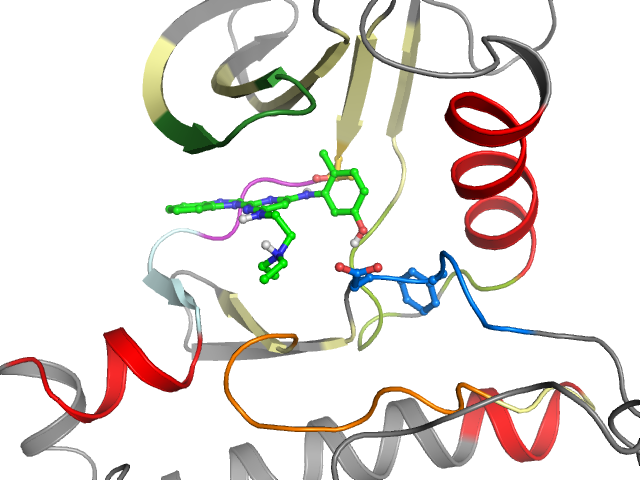 The orthosteric binding pocket