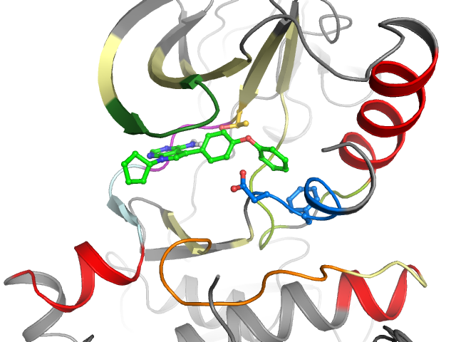 The orthosteric binding pocket