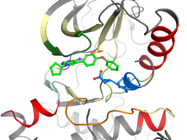 The orthosteric binding pocket