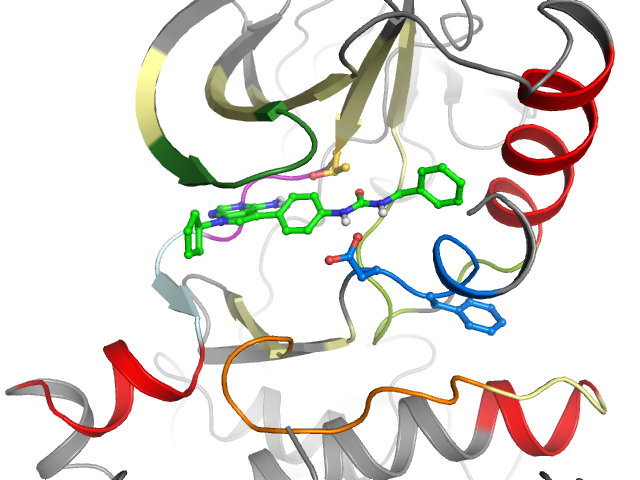 The orthosteric binding pocket