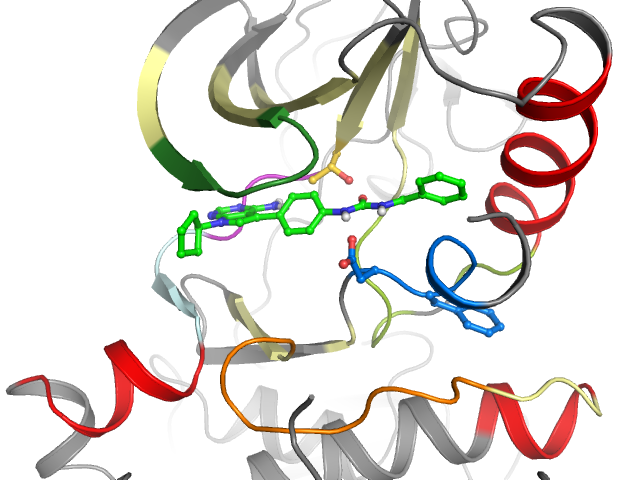 The orthosteric binding pocket