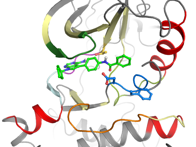 The orthosteric binding pocket