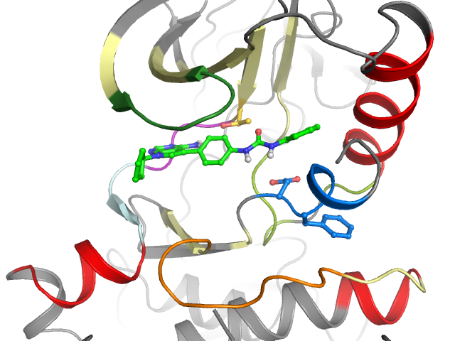 The orthosteric binding pocket